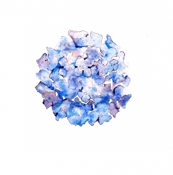 Wedding Flowers Cornwall 3